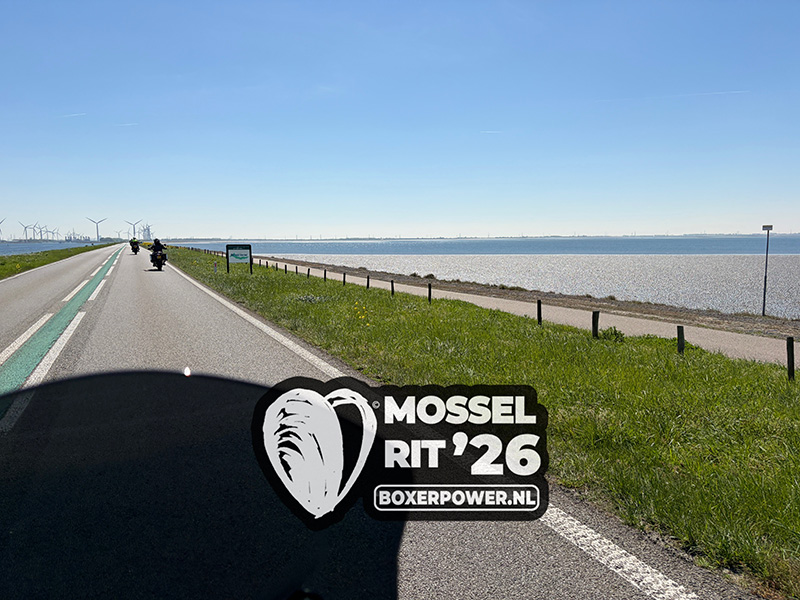 Mosselrit 2026 ochtendrit 08